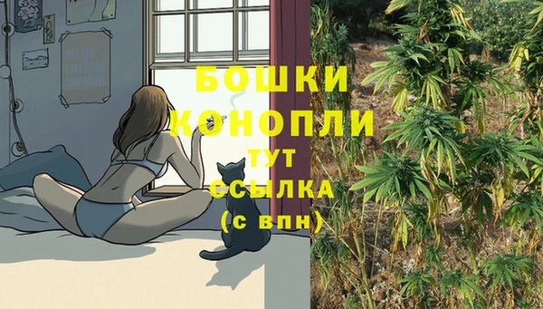 сатива Арсеньев