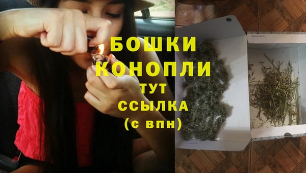 сатива Арсеньев